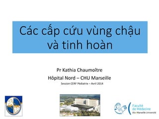 Các cấp cứu vùng chậu
và tinh hoàn
Pr Kathia Chaumoître
Hôpital Nord – CHU Marseille
Session CERF Pédiatrie – Avril 2014
 
