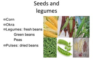 Seeds and
legumes
Corn
Okra
Legumes: fresh beans
Green beans
Peas
Pulses: dried beans
 