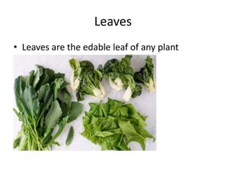 Leaves
• Leaves are the edable leaf of any plant
 