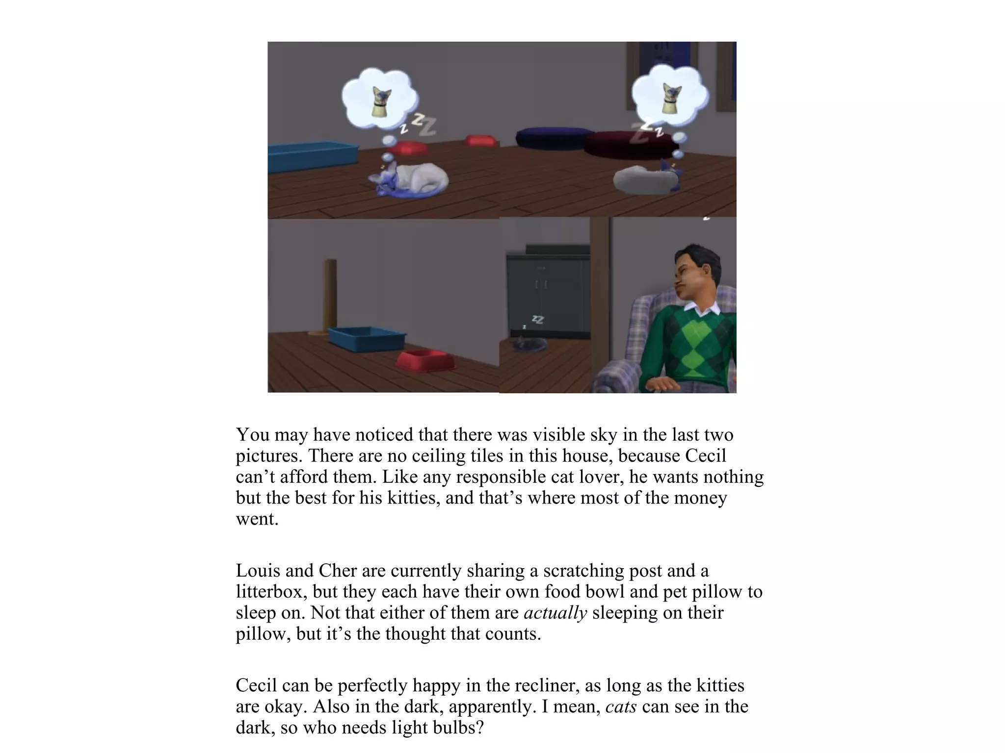 You may have noticed that there was visible sky in the last two
pictures. There are no ceiling tiles in this house, because Cecil
can’t afford them. Like any responsible cat lover, he wants nothing
but the best for his kitties, and that’s where most of the money
went.

Louis and Cher are currently sharing a scratching post and a
litterbox, but they each have their own food bowl and pet pillow to
sleep on. Not that either of them are actually sleeping on their
pillow, but it’s the thought that counts.

Cecil can be perfectly happy in the recliner, as long as the kitties
are okay. Also in the dark, apparently. I mean, cats can see in the
dark, so who needs light bulbs?
 