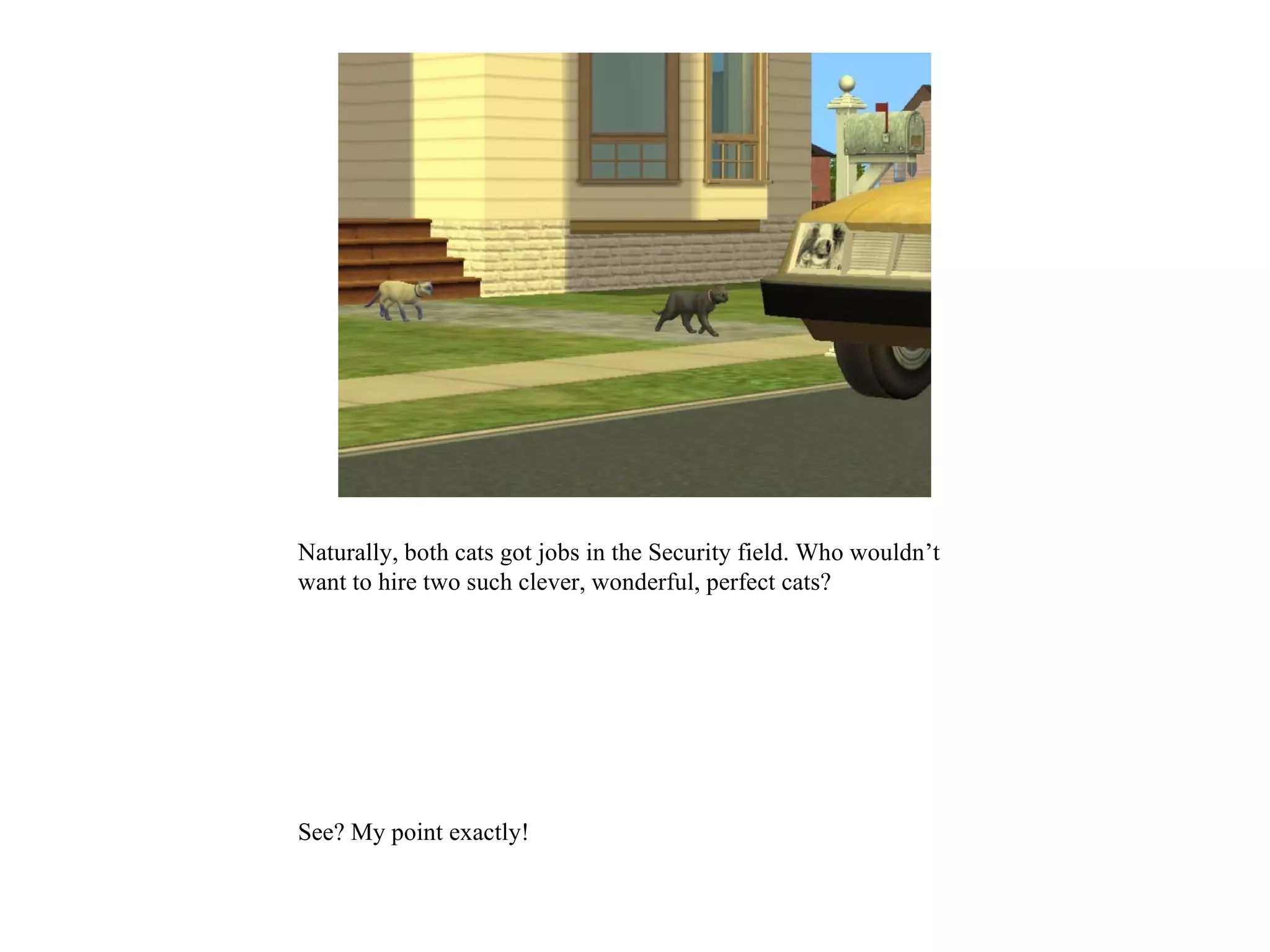 Naturally, both cats got jobs in the Security field. Who wouldn’t
want to hire two such clever, wonderful, perfect cats?




See? My point exactly!
 