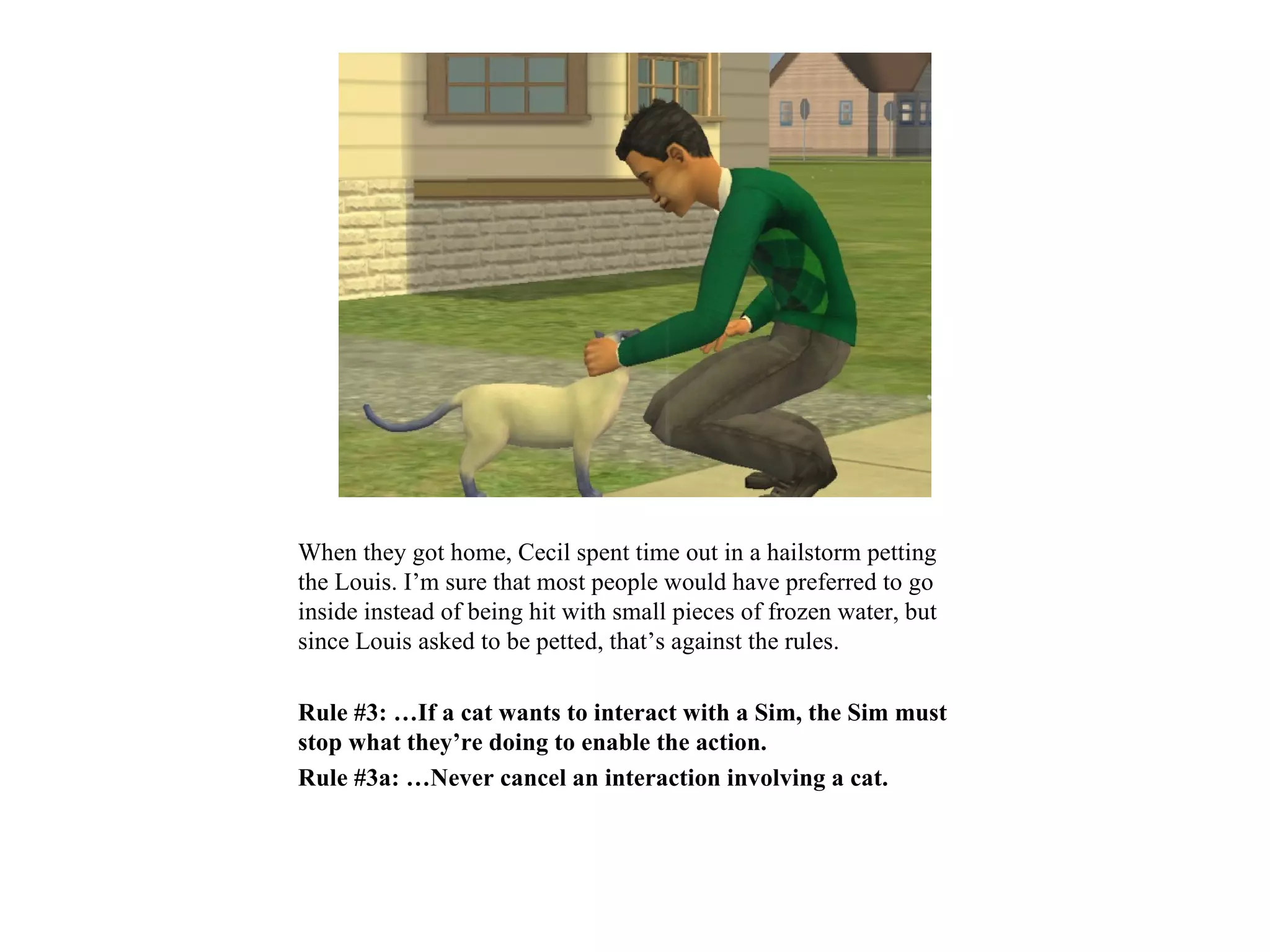 When they got home, Cecil spent time out in a hailstorm petting
the Louis. I’m sure that most people would have preferred to go
inside instead of being hit with small pieces of frozen water, but
since Louis asked to be petted, that’s against the rules.

Rule #3: …If a cat wants to interact with a Sim, the Sim must
stop what they’re doing to enable the action.
Rule #3a: …Never cancel an interaction involving a cat.
 
