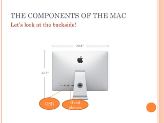 THE COMPONENTS OF THE MAC
Let’s look at the backside!

USB

Head
phones

 