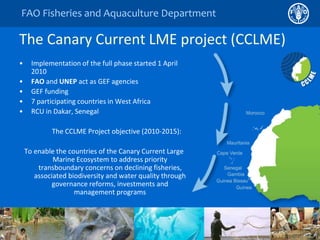 FAO Fisheries and Aquaculture Department 
The Canary Current LME project (CCLME) 
• Implementation of the full phase started 1 April 
2010 
• FAO and UNEP act as GEF agencies 
• GEF funding 
• 7 participating countries in West Africa 
• RCU in Dakar, Senegal 
The CCLME Project objective (2010-2015): 
To enable the countries of the Canary Current Large 
Marine Ecosystem to address priority 
transboundary concerns on declining fisheries, 
associated biodiversity and water quality through 
governance reforms, investments and 
management programs 
 