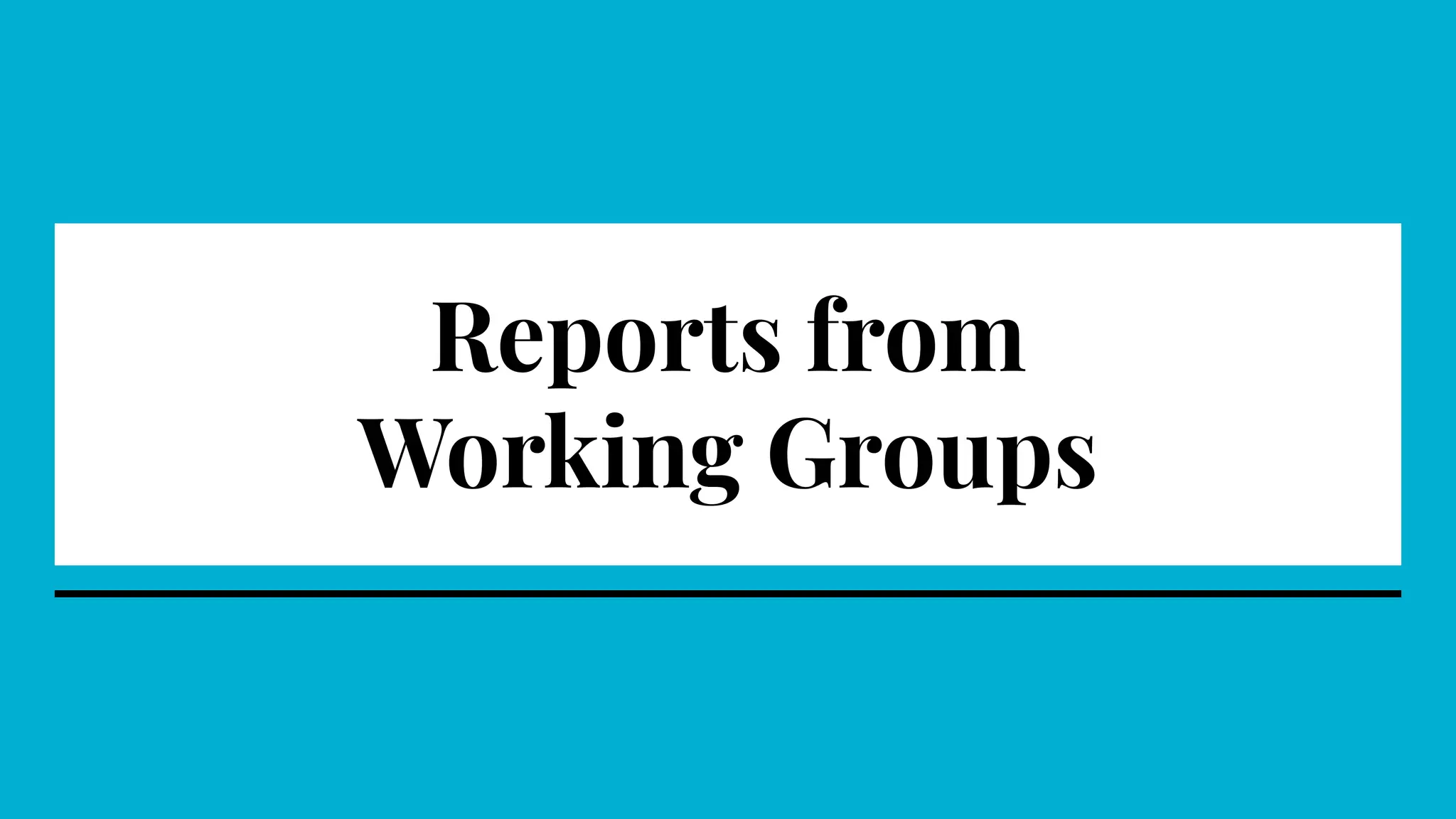 Reports from
Working Groups
 