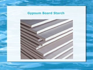 Gypsum Board Starch
 