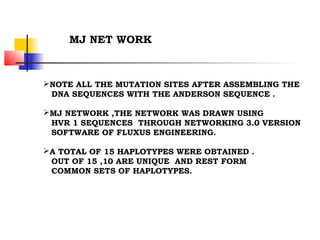 NOTE ALL THE MUTATION SITES AFTER ASSEMBLING THE
DNA SEQUENCES WITH THE ANDERSON SEQUENCE .
MJ NETWORK ,THE NETWORK WAS DRAWN USING
HVR 1 SEQUENCES THROUGH NETWORKING 3.0 VERSION
SOFTWARE OF FLUXUS ENGINEERING.
A TOTAL OF 15 HAPLOTYPES WERE OBTAINED .
OUT OF 15 ,10 ARE UNIQUE AND REST FORM
COMMON SETS OF HAPLOTYPES.
MJ NET WORK
 
