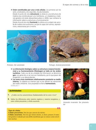 1El origen del universo y de la vida
19
N Están constituidos por una o más células. Los primeros son los
seres unicelulares y los segundos, los pluricelulares.
Desde el punto de vista estructural, la célula es una estructura de
materia viva constituida por una membrana, un citoplasma y mate-
rial genético (el ácido desoxirribonucleico o ADN), que contiene la
información sobre su estructura y funcionamiento.
Desde el punto de vista funcional, la célula es la unidad más senci-
lla de materia viva autónoma, ya que es capaz de nutrirse, reprodu-
cirse y relacionarse por sí misma.
N La información biológica sobre su estructura corporal (anato-
mía) y su funcionamiento (fisiología) se halla en los ácidos
nucleicos. Cada una de las unidades de información se denomina
gen. Los genes de un ser vivo son hereditarios, por lo que pasan del
progenitor a sus descendientes.
N Los seres vivos mantienen relativamente constante su medio
interno. Su objetivo es intentar que no les afecten las variaciones
del medio ambiente. Esta propiedad se llama homeostasis.
DDOOBBLLAARR 11
Protozoo. Ser unicelular. Tortuga. Animal pluricelular
Amanita muscaria. Ser pluricelu-
lar
Actividades
7. ¿Cuáles son las características fundamentales de los seres vivos?
8. Indica las diferencias entre materia orgánica y materia inorgánica, y
entre célula procariota y célula eucariota.
Tipos de células
Células procariotas. Son las que carecen de núcleo.
Células eucariotas. Son las que tienen núcleo, es decir, poseen el mate-
rial genético rodeado por una doble membrana que se conoce como envol-
tura nuclear.
 