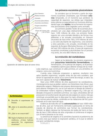 1 El origen del universo y de la vida
26
Los primeros eucariotas pluricelulares
Se considera que se formaron a partir de orga-
nismos eucariotas unicelulares, que formaban colo-
nias temporales, en el momento que perdieron la
capacidad de separarse. Las células que integraban
estas colonias se especializaron en funciones distintas,
dando lugar a los tejidos. Así se formaron los organis-
mos pluricelulares tanto vegetales como animales.
Los primeros posibles fósiles de eucariotas pluri-
celulares son unas algas relativamente pequeñas de
hace 1 200 millones de años. Los primeros fósiles
seguros son unos animales blandos y de formas muy
diferentes a las actuales encontrados en Ediacara
(Australia) de hace entre 700 y 570 millones de años
y una serie abundante de organismos, unos extraños
y otros parecidos a los actuales, encontrados en los
esquistos de Burgess (Montañas Rocosas, en Canadá)
de hace 530 millones de años. El paso de organismos
eucariotas unicelulares a pluricelulares fue un proceso
muy lento, de unos 800 millones de años.
La evolución del metabolismo
Según se ha deducido, los primeros organismos
eran procariotas heterótrofos fermentadores. La
fermentación, al no precisar de oxígeno, es el proceso
metabólico óptimo para obtener energía de las molé-
culas orgánicas, que constituían el caldo primitivo, en una atmósfera sin
oxígeno, como era la primitiva.
Cuando estas moléculas empezaron a agotarse, resultaron más
aptos aquellos organismos, surgidos antes de que esto sucediera, que
tenían la capacidad de utilizar la luz como fuente de energía, es decir, los
que eran capaces de realizar la fotosíntesis.
Hace unos 3 000 millones de años aparecieron las cianobacterias,
microorganismos que ya podían realizar una fotosíntesis más eficaz y que
desprendía oxígeno. Mediante este proceso descomponían el agua (H20)
para obtener hidrógeno (H), con el cual reducían el dióxido de carbono y
así sintetizaban materia orgánica y liberaban oxígeno (O2). Este gas no
deseado enriqueció la atmósfera primitiva. Los rayos ultravioletas del Sol
provocaron la transformación de parte de este oxígeno en ozono. Este gas
constituye una pantalla que no deja pasar los rayos ultravioletas, que son
muy nocivos para las células, contenidos en las radiaciones del Sol y posi-
bilitando así la vida fuera del agua.
Evidencias de todo ello son los estromatolitos de hace 3 000 millo-
nes de años, que son formaciones laminares superpuestas en forma de
cúpulas de decenas de centímetros que forman las cianobacterias.
También se deben destacar las formaciones de óxidos de hierro en ban-
das de hace 2 200 millones de años originadas al combinarse el oxígeno
con el hierro presente en las rocas.
La presencia de oxígeno en la atmósfera favoreció el predominio de
los seres vivos que realizan la respiración aeróbica, en la que se obtiene
una gran cantidad de energía.
DDOOBBLLAARR 22
Aparición de distintos tipos de seres vivos.
Paleozoico
Mesozoico
Cenozoico
Seres humanos
Plantas terrestres
Animales
Eucariotas pluricelulares
Eucariotas unicelulares
Oxígeno atmosférico
Procariotas
Origen del sistema solar
y de la Tierra
Eón
Proterozoico
1
2 3
4
Eón
Arqueozoico
millones de años
Actividades
9. Describe el experimento de
Pasteur.
10. ¿Qué es la atmósfera primiti-
va?
11. ¿Qué es un coacervado?
12. Según la hipótesis de la endo-
simbiosis, ¿Cómo habrían
aparecido los organismos
eucariotas?
 