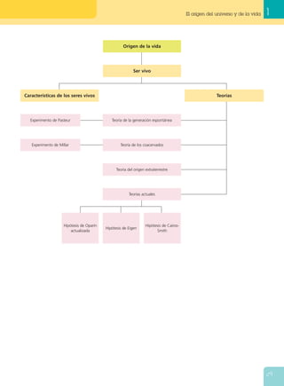 1El origen del universo y de la vida
29
Características de los seres vivos Teorías
Ser vivo
Origen de la vida
Hipótesis de Oparín
actualizada
Hipótesis de Eigen
Hipótesis de Cairos-
Smith
Teoría de la generación espontáneaExperimento de Pasteur
Teoría de los coacervadosExperimento de Millar
Teoría del origen extraterrestre
Teorías actuales
 