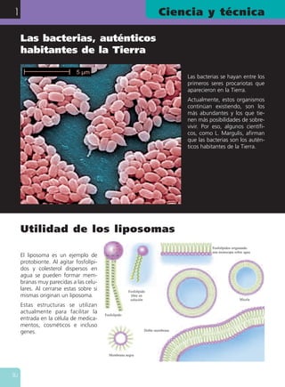 Ciencia y técnica1
30
Utilidad de los liposomas
El liposoma es un ejemplo de
protobionte. Al agitar fosfolípi-
dos y colesterol dispersos en
agua se pueden formar mem-
branas muy parecidas a las celu-
lares. Al cerrarse estas sobre si
mismas originan un liposoma.
Estas estructuras se utilizan
actualmente para facilitar la
entrada en la célula de medica-
mentos, cosméticos e incluso
genes.
Las bacterias se hayan entre los
primeros seres procariotas que
aparecieron en la Tierra.
Actualmente, estos organismos
continúan existiendo, son los
más abundantes y los que tie-
nen más posibilidades de sobre-
vivir. Por eso, algunos científi-
cos, como L. Margulis, afirman
que las bacterias son los autén-
ticos habitantes de la Tierra.
Las bacterias, auténticos
habitantes de la Tierra
Fosfolípido
Membrana negra
Doble membrana
Fosfolípido
libre en
solución Micela
Fosfolípidos originando
una monocapa sobre agua
 