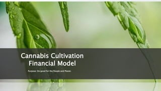 Purpose: Do good for the People and Planet.
Cannabis Cultivation
Financial Model
 