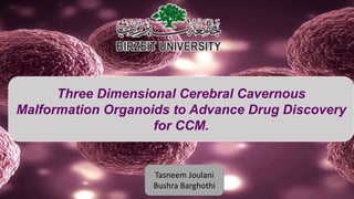 Three Dimensional Cerebral Cavernous
Malformation Organoids to Advance Drug Discovery
for CCM.
Tasneem Joulani
Bushra Barghothi
 