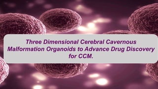 Three Dimensional Cerebral Cavernous
Malformation Organoids to Advance Drug Discovery
for CCM.
 