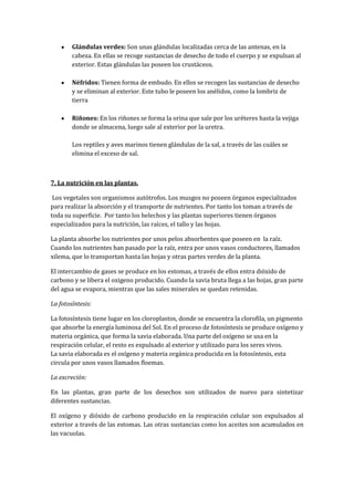 Glándulas verdes: Son unas glándulas localizadas cerca de las antenas, en la
        cabeza. En ellas se recoge sustancias de desecho de todo el cuerpo y se expulsan al
        exterior. Estas glándulas las poseen los crustáceos.

        Néfridos: Tienen forma de embudo. En ellos se recogen las sustancias de desecho
        y se eliminan al exterior. Este tubo le poseen los anélidos, como la lombriz de
        tierra

        Riñones: En los riñones se forma la orina que sale por los uréteres hasta la vejiga
        donde se almacena, luego sale al exterior por la uretra.

        Los reptiles y aves marinos tienen glándulas de la sal, a través de las cuáles se
        elimina el exceso de sal.



7. La nutrición en las plantas.

 Los vegetales son organismos autótrofos. Los musgos no poseen órganos especializados
para realizar la absorción y el transporte de nutrientes. Por tanto los toman a través de
toda su superficie. Por tanto los helechos y las plantas superiores tienen órganos
especializados para la nutrición, las raíces, el tallo y las hojas.

La planta absorbe los nutrientes por unos pelos absorbentes que poseen en la raíz.
Cuando los nutrientes han pasado por la raíz, entra por unos vasos conductores, llamados
xilema, que lo transportan hasta las hojas y otras partes verdes de la planta.

El intercambio de gases se produce en los estomas, a través de ellos entra dióxido de
carbono y se libera el oxigeno producido. Cuando la savia bruta llega a las hojas, gran parte
del agua se evapora, mientras que las sales minerales se quedan retenidas.

La fotosíntesis:

La fotosíntesis tiene lugar en los cloroplastos, donde se encuentra la clorofila, un pigmento
que absorbe la energía luminosa del Sol. En el proceso de fotosíntesis se produce oxígeno y
materia orgánica, que forma la savia elaborada. Una parte del oxígeno se usa en la
respiración celular, el resto es expulsado al exterior y utilizado para los seres vivos.
La savia elaborada es el oxígeno y materia orgánica producida en la fotosíntesis, esta
circula por unos vasos llamados floemas.

La excreción:

En las plantas, gran parte de los desechos son utilizados de nuevo para sintetizar
diferentes sustancias.

El oxígeno y dióxido de carbono producido en la respiración celular son expulsados al
exterior a través de las estomas. Las otras sustancias como los aceites son acumulados en
las vacuolas.
 