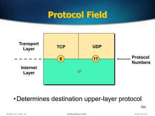 103
•Determines destination upper-layer protocol
Protocol Field
Transport
Layer
Internet
Layer
TCP UDP
Protocol
Numbers
IP
176
 