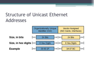 CCNA 200-301 Chapter 2-Fundamentals of Ethernet Lans.pptx