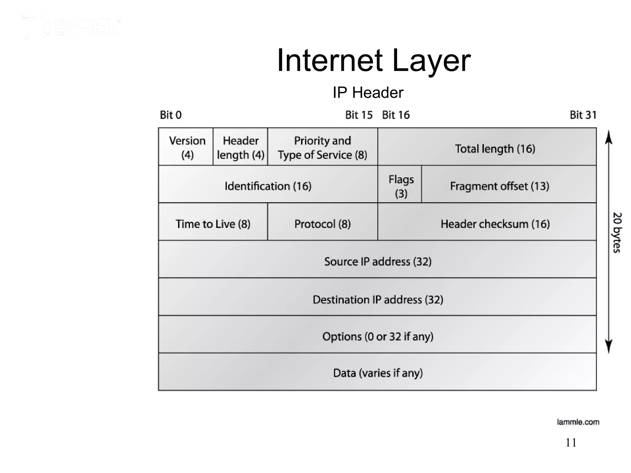Internet Layer
    IP Header




                 11
 