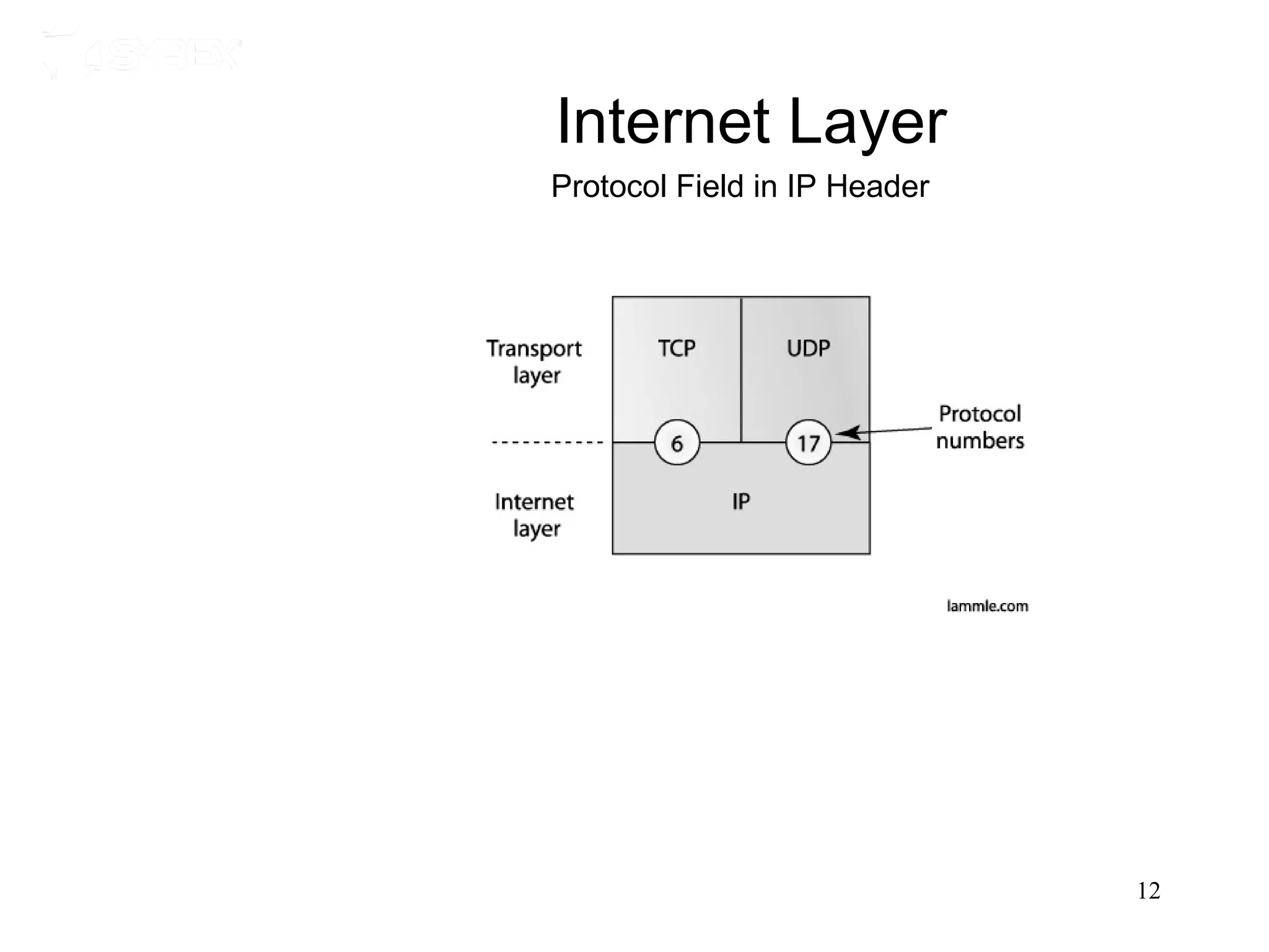 Internet Layer
Protocol Field in IP Header




                              12
 