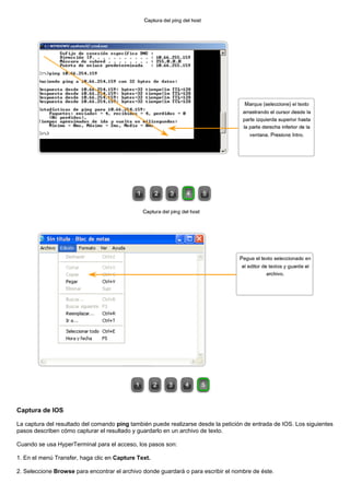 Captura de IOS
La captura del resultado del comando ping también puede realizarse desde la petición de entrada de IOS. Los siguientes
pasos describen cómo capturar el resultado y guardarlo en un archivo de texto.
Cuando se usa HyperTerminal para el acceso, los pasos son:
1. En el menú Transfer, haga clic en Capture Text.
2. Seleccione Browse para encontrar el archivo donde guardará o para escribir el nombre de éste.
 