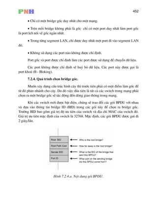 452
• ChØ cã mét bridge gèc duy nhÊt cho mét m¹ng.
• Trong tõng segment LAN, chØ ®−îc duy nhÊt mét port ®i vµo segment LAN
•
Po
C¸c port kh«ng ®−îc chØ ®Þnh sÏ huû bá d÷
port kho¸ (B - Bloking).
7.2.4. Qu¸ tr×nh chän bridge gèc.
Muèn x©y dùng cÊu tróc h×nh c©y th× tr−íc tiªn ph¶i cã mét ®iÓm lµm gèc ®Ó
®ã ph
chän ra mét bridge gèc sÏ t¸c ®éng ®Õn dßng giao th«ng trong m¹ng.
Khi c¸c switch míi ®−îc bËt ®iÖn, chóng sÏ tr
vµ dùa gã
Tr−êng BID bao gåm gi¸ trÞ ®é −u tiªn cña switch vµ ®Þa chØ MAC cña switch ®ã.
Gi¸ trÞ −u tiªn mÆc ®Þnh cña switch lµ 32768. MÆc ®Þnh, c¸c gãi BPDU ®−îc g−i ®i
i©y/lÇ
• Trªn mçi bridge kh«ng ph¶i lµ gèc chØ cã mét port duy nhÊt lµm port gèc
lµ port kÕt nèi vÒ gèc ng¾n nhÊt.
®ã.
Kh«ng sö dông c¸c port nµo kh«ng ®−îc chØ
rt gèc vµ port ®−îc chØ ®Þnh lµm c¸c port ®−
®Þnh.
îc sö dông ®Ó chuyÓn d÷ liÖu.
liÖu. C¸c port nµy ®−îc gäi lµ
tõ ©n nh¸nh cho c©y. Do ®ã viÖc ®Çu tiªn lµ tÊt c¶ c¸c switch trong m¹ng ph¶i
ao ®æi c¸c gãi BPDU víi nhau
i nµy ®Ó chän ra bridge gèc.vµo th«ng tin bridge ID (BID) trong c¸c
2 g n.
H×nh 7.2.4.a. Néi dung gãi BPDU.
 