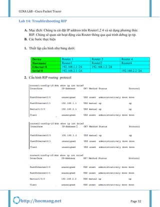 CCNA LAB - Cisco Packet Tracer | PDF