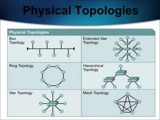 Physical Topologies




                      14
 