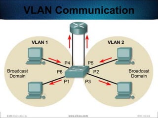 VLAN Communication




                     518
 