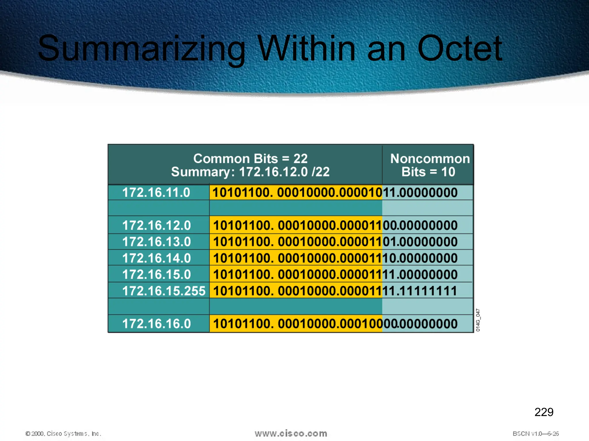 229
Summarizing Within an Octet
 