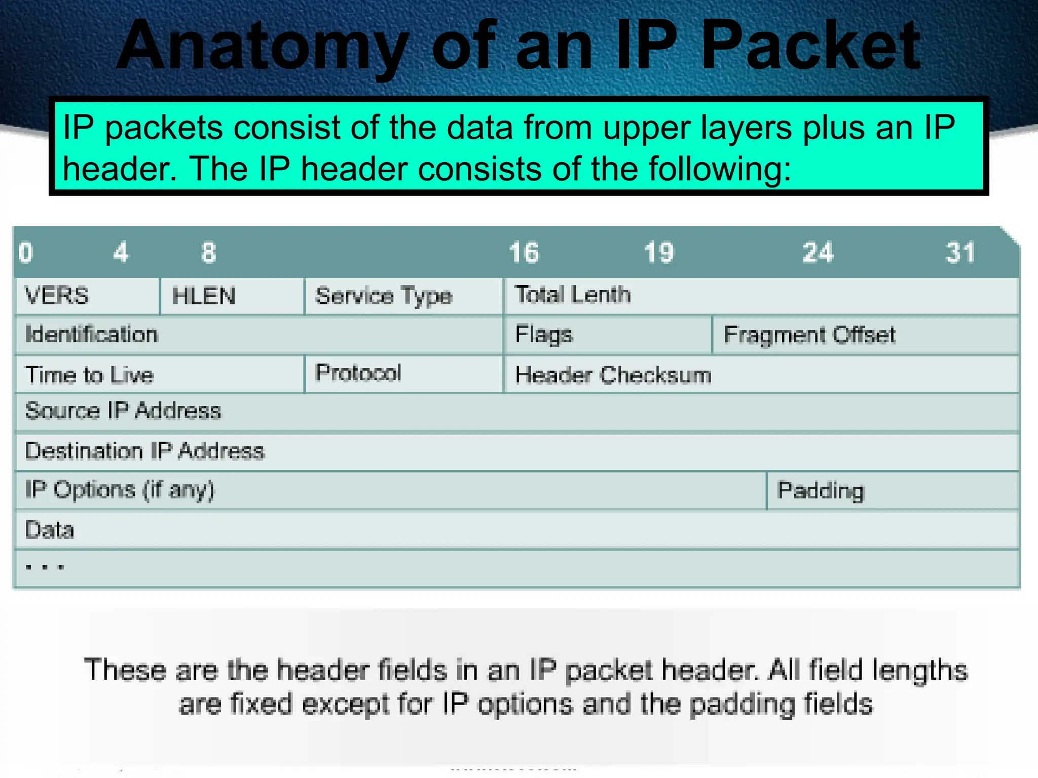 235
Anatomy of an IP Packet
IP packets consist of the data from upper layers plus an IP
header. The IP header consists of the following:
 