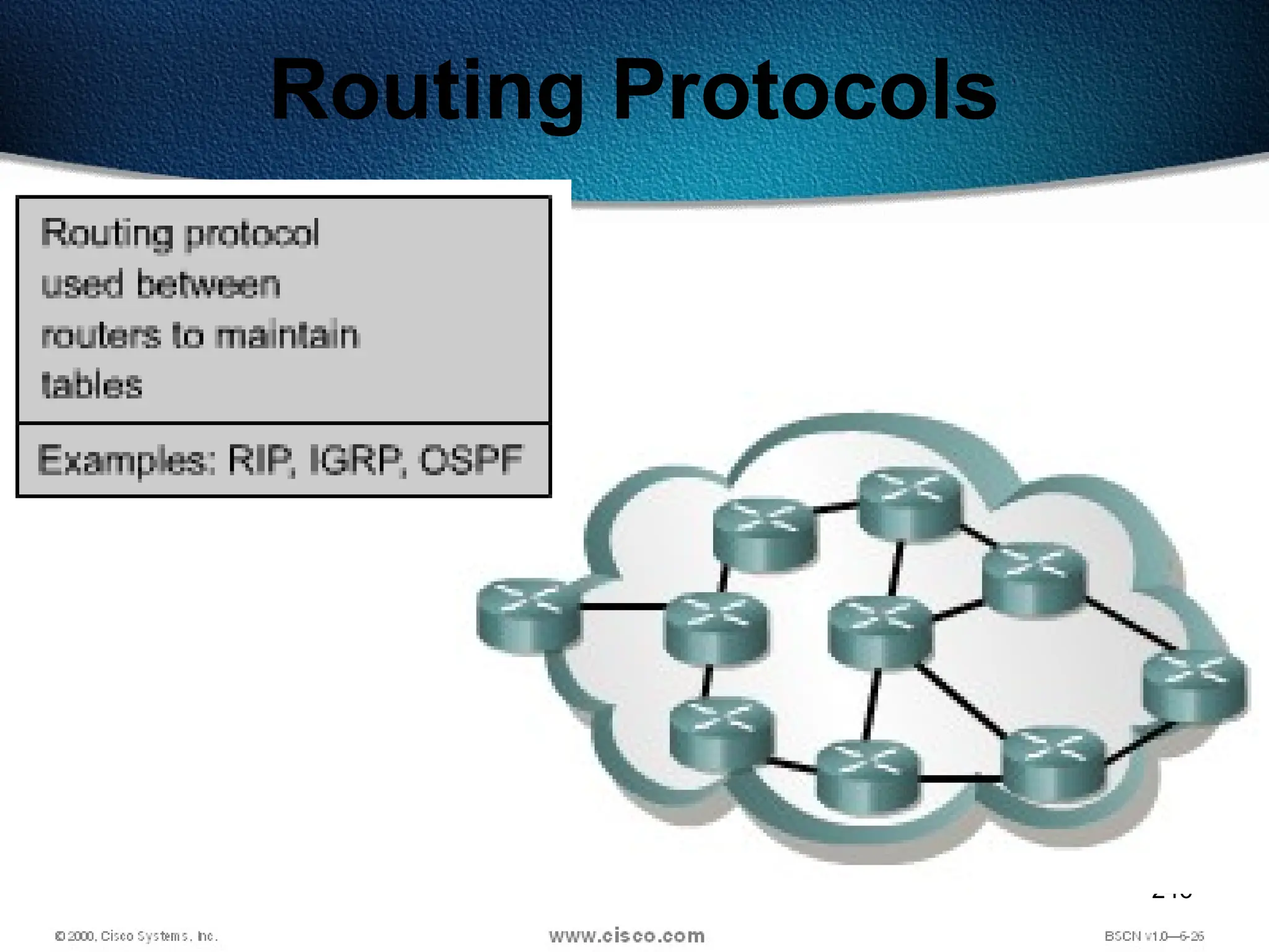 246
Routing Protocols
 