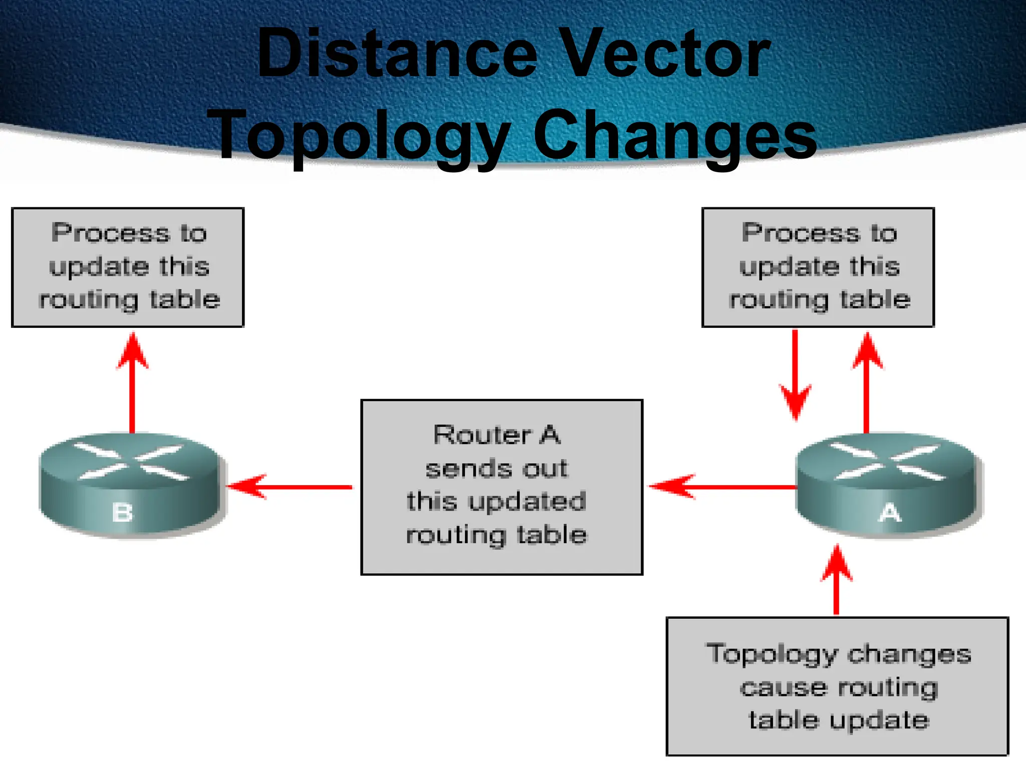 256
Distance Vector
Topology Changes
 