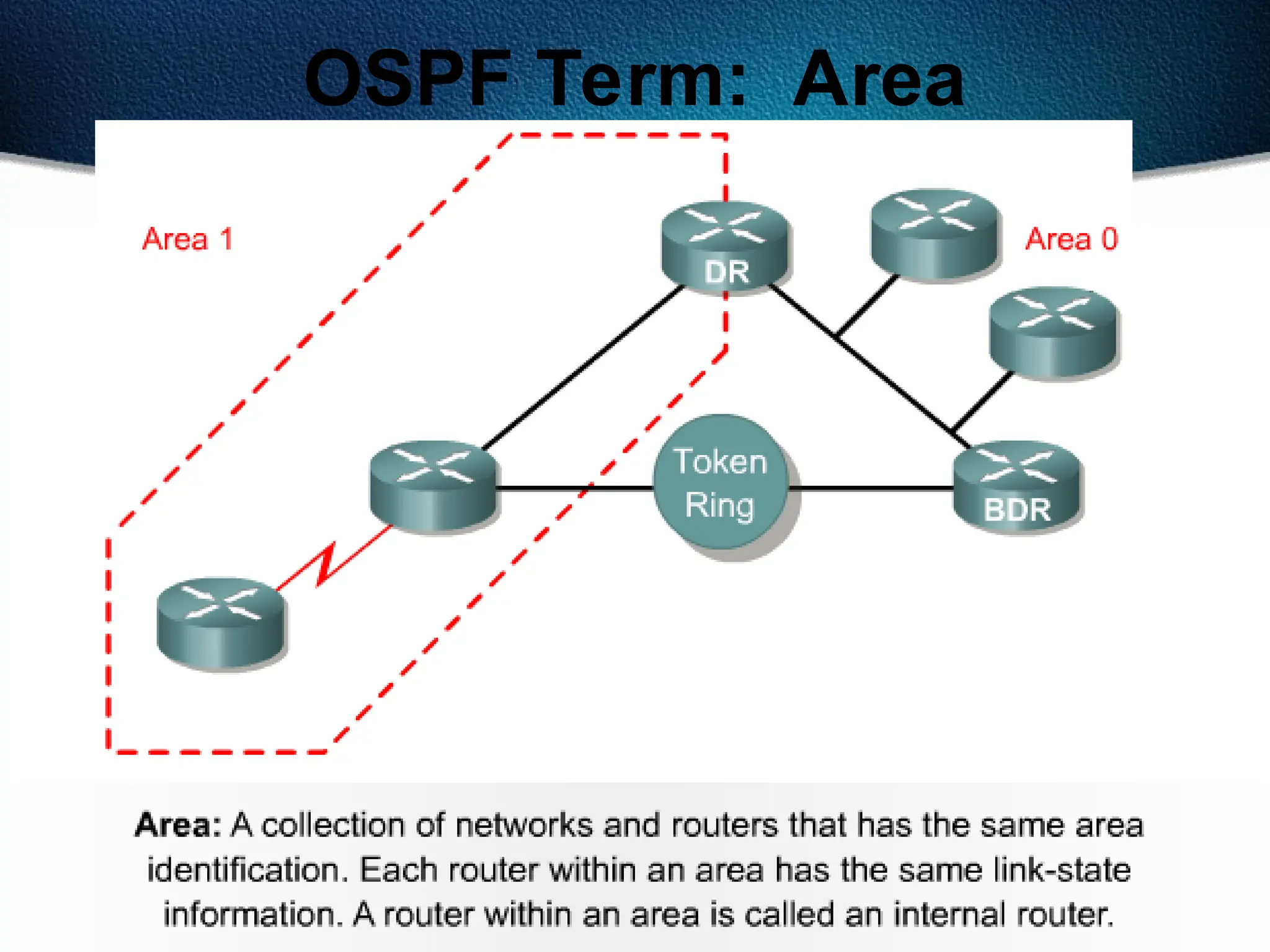 294
OSPF Term: Area
 