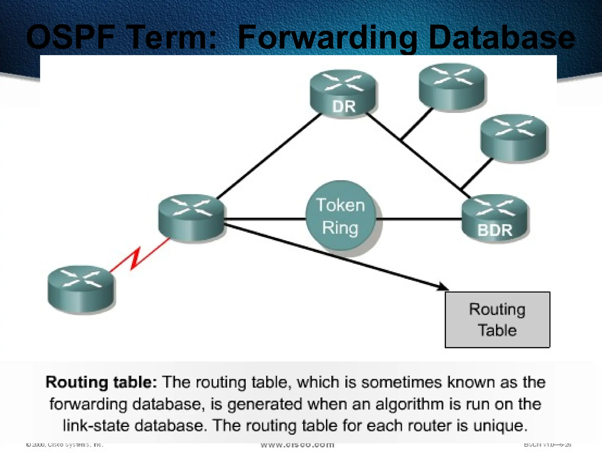 296
OSPF Term: Forwarding Database
 