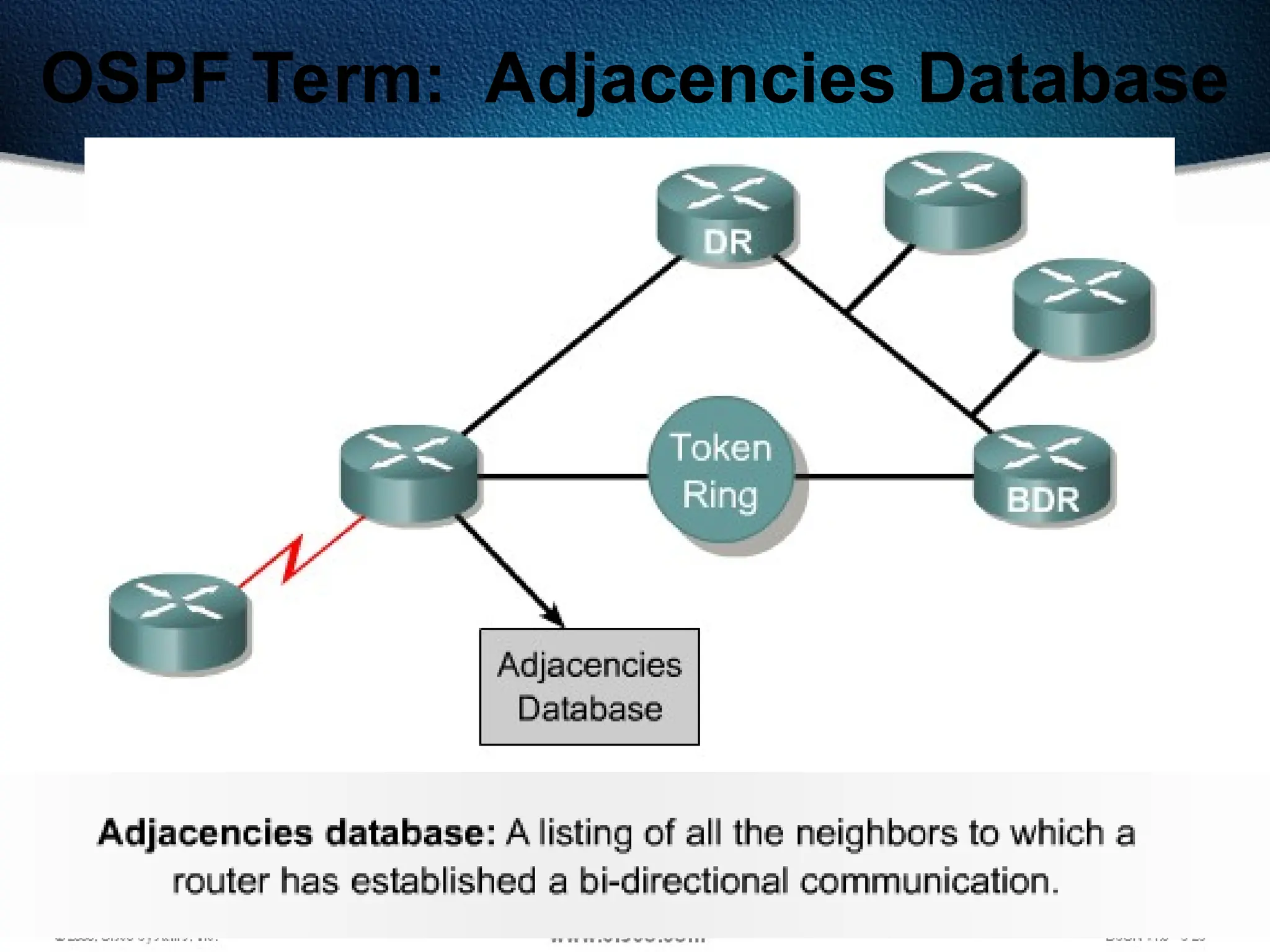 297
OSPF Term: Adjacencies Database
 