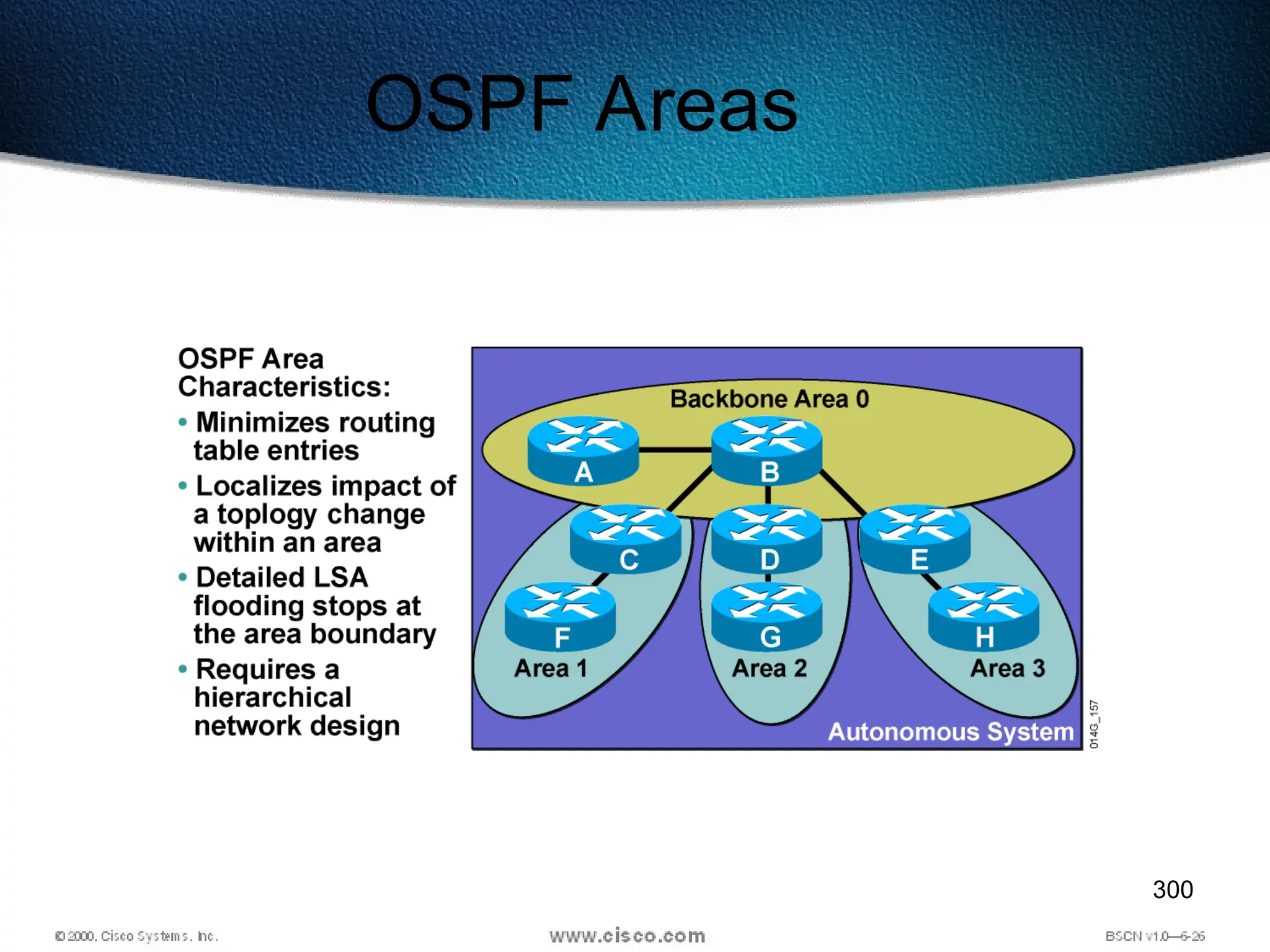 300
OSPF Areas
 