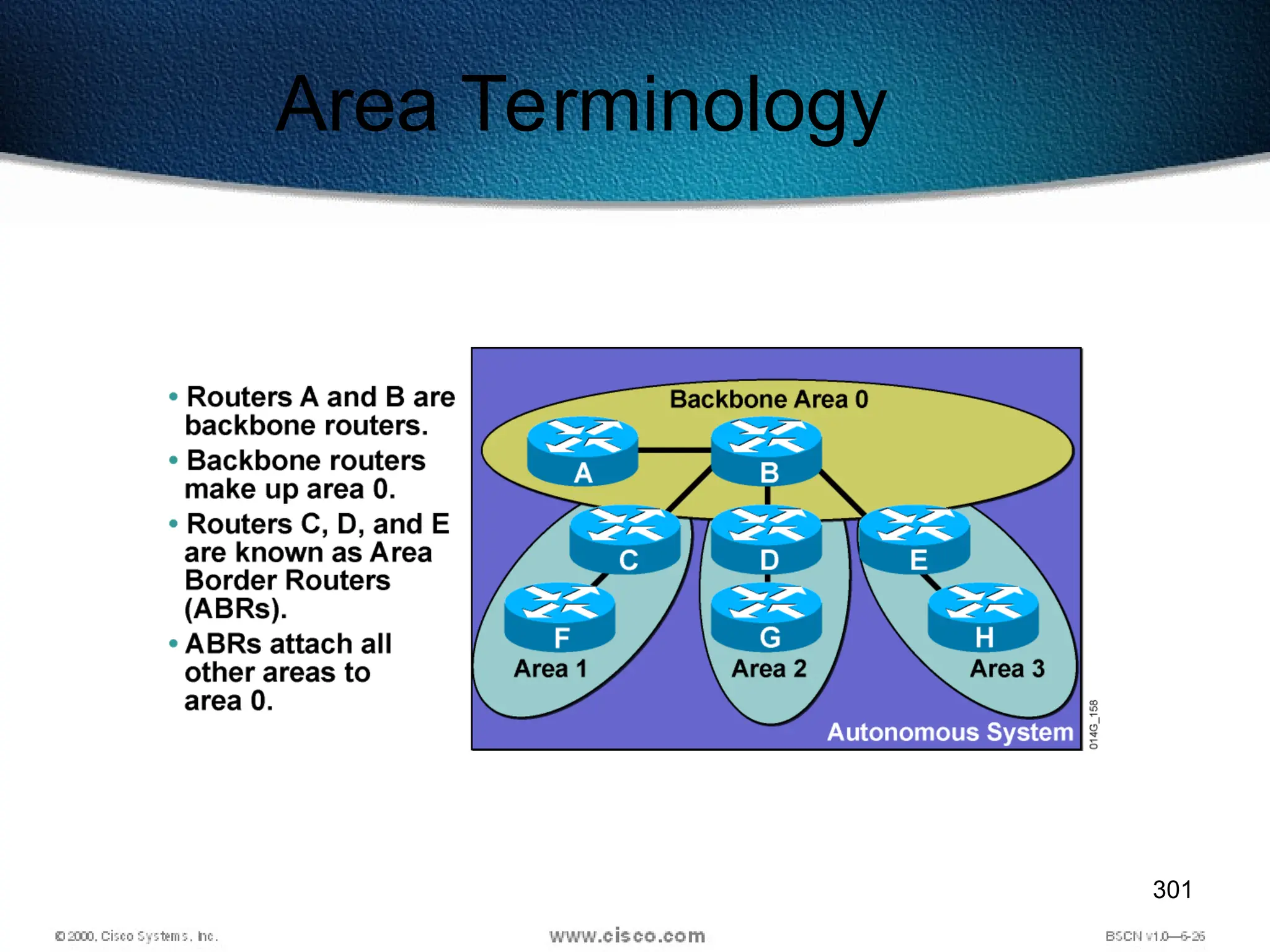 301
Area Terminology
 