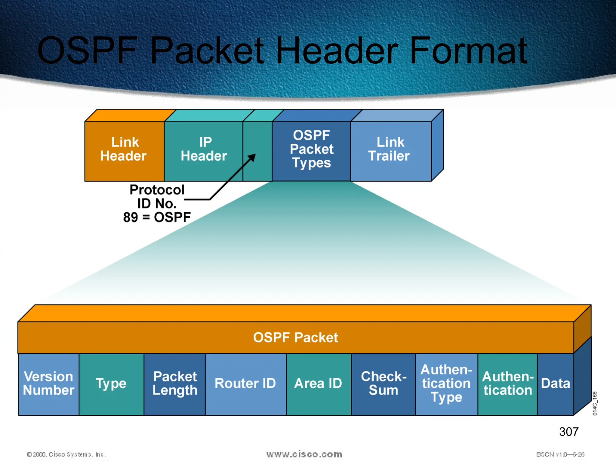307
OSPF Packet Header Format
 