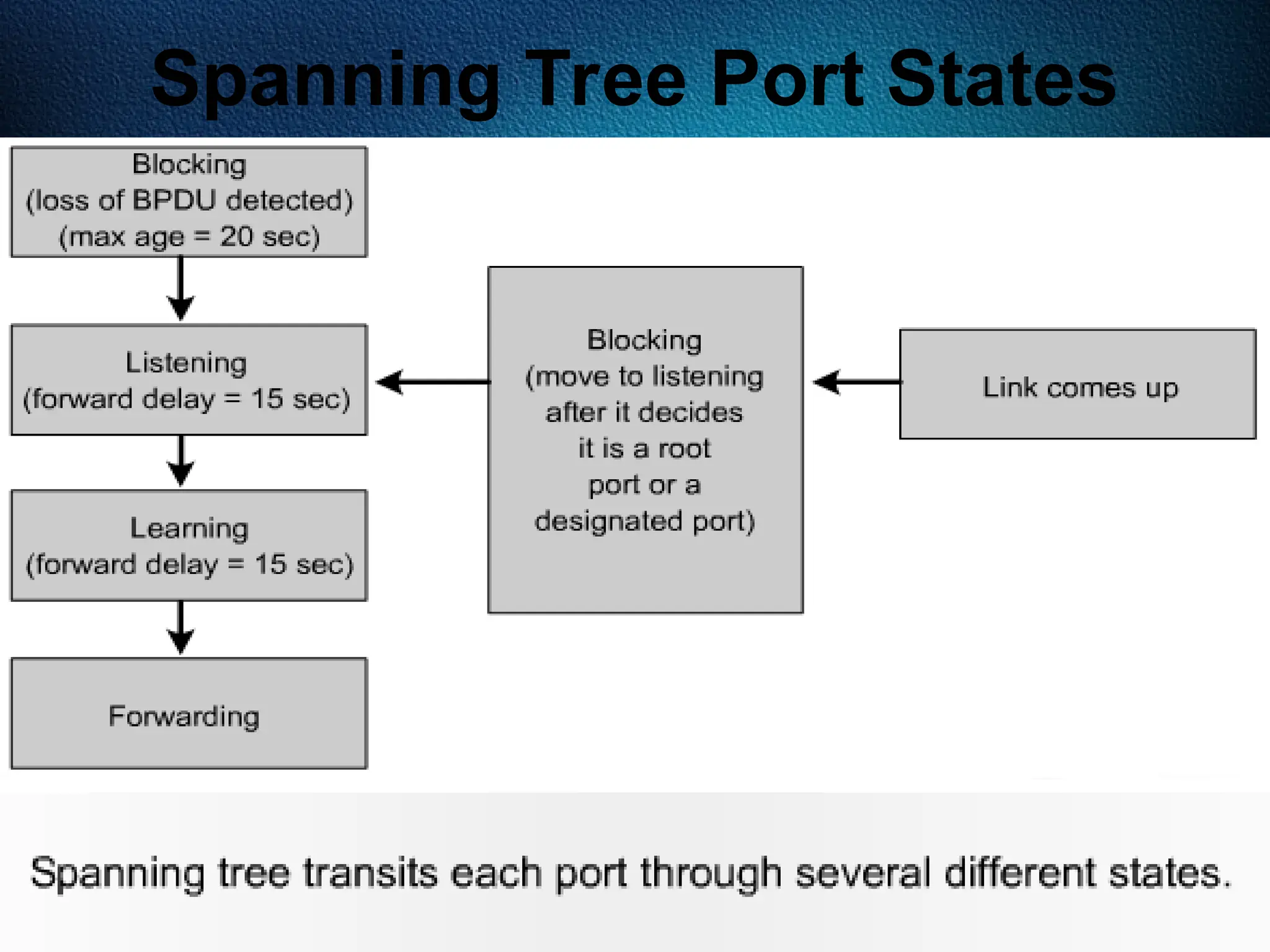 512
Spanning Tree Port States
 