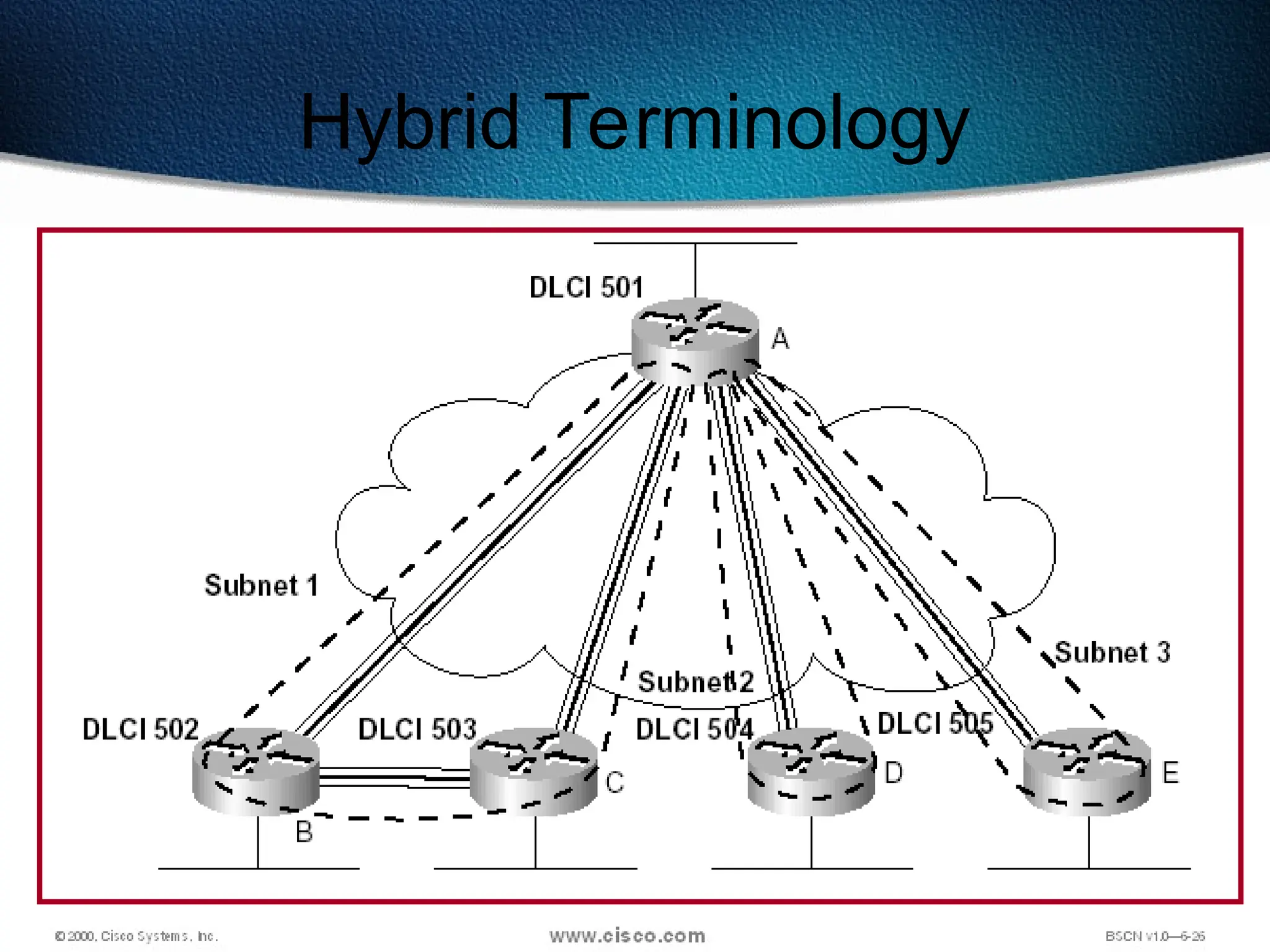 595
Hybrid Terminology
 