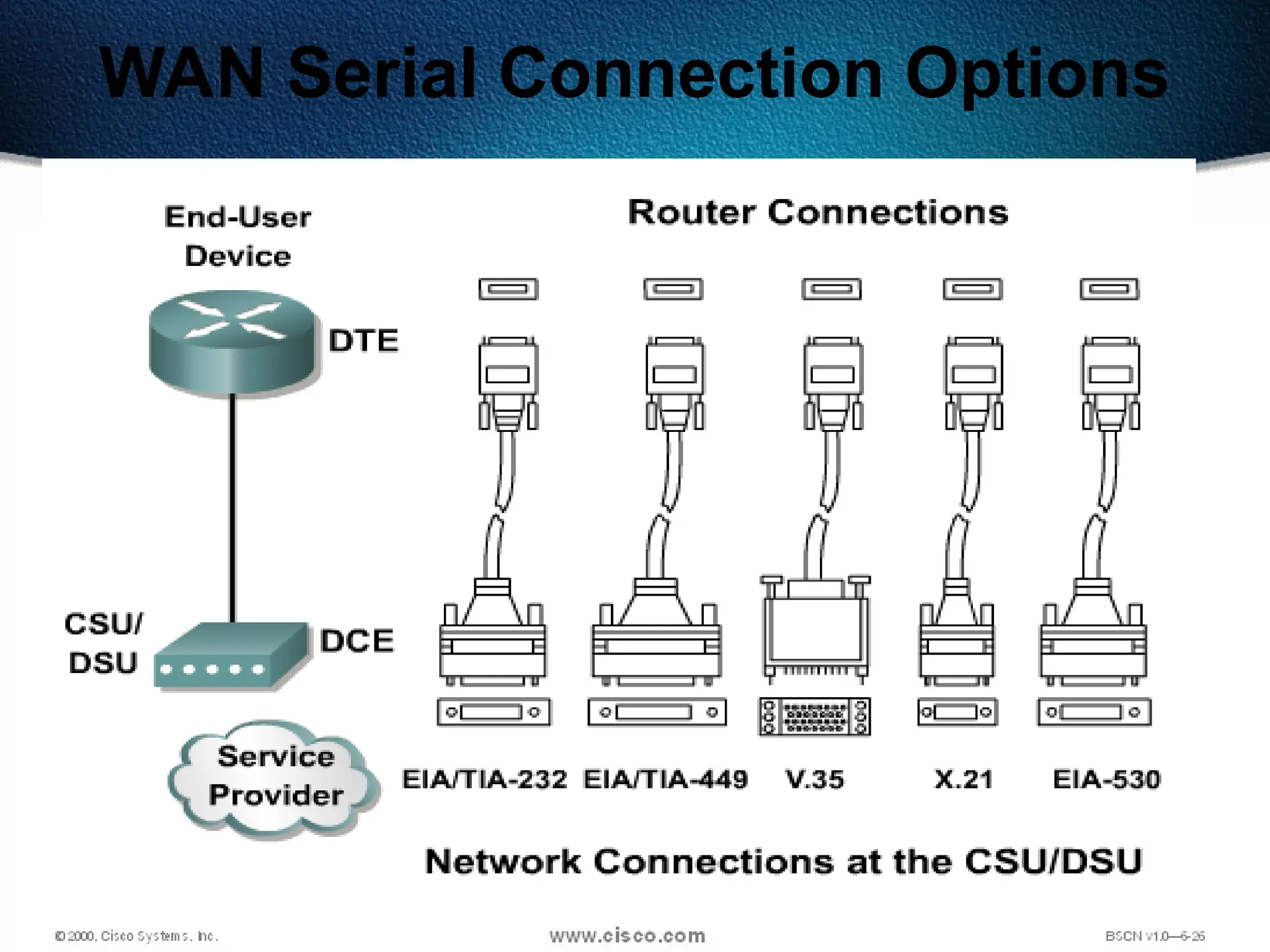 79
WAN Serial Connection Options
 