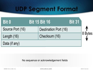 118
UDP Segment Format
 