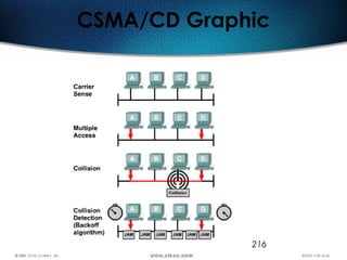 216
CSMA/CD Graphic
 