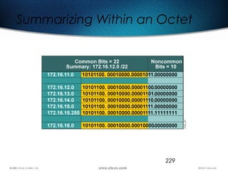 229
Summarizing Within an Octet
 