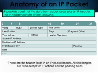 235
Anatomy of an IP Packet
IP packets consist of the data from upper layers plus an IP header.
The IP header consists of the following:
 