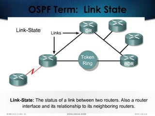293
OSPF Term: Link State
 