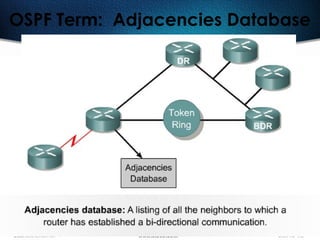 297
OSPF Term: Adjacencies Database
 