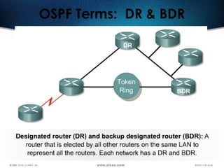 298
OSPF Terms: DR & BDR
 
