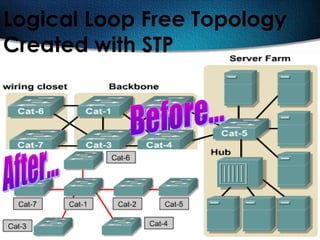 505
Logical Loop Free Topology
Created with STP
 