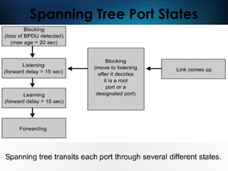 512
Spanning Tree Port States
 